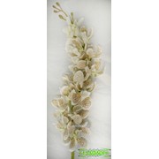 Цветок искусственный “Дендробиум тигровый белый“ фото