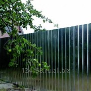 Забор эконом цинк грандлайн фото