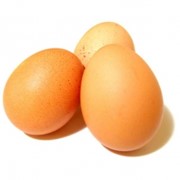 Яйцо деревенское Ряба костромская фото