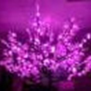 Светодиодное дерево “Клен“ розовый, 250см фото