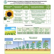 Для подсолнечника и сафлора фото