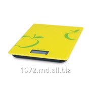 Весы кухонные Vitek VT-2400 фото