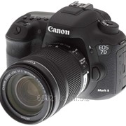 Canon 7D Mark II 18-135 KIT фото
