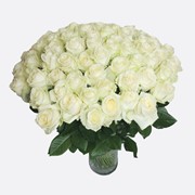 Розы белые продажа розница, опт мелкий,крупный