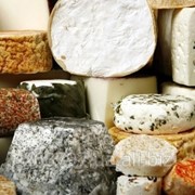 Козий Альпийский сыр -плотный подвыдержаный сыр со специями фото