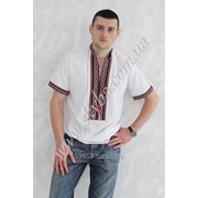 Мужская вышитая рубашка СК1231кр фото