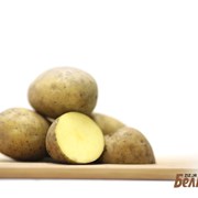 Картофель семенной Леди Клер 1РС фото