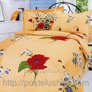 Комплект постельного белья Le Vele сатин Daisy фотография