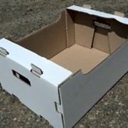 Коробка для яблок 50х32.5х24 фотография
