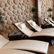 Лежаки пляжные,шезлонг МАРА - Лежак - мебель для бассейна - мебель для сада - мебель для отдыха фото