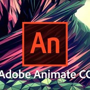 Курсы Adobe Animate фото