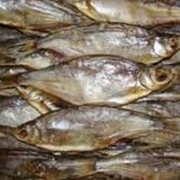 Рыба сушено-вяленая фотография