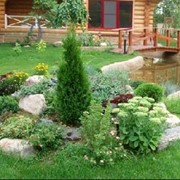 Ландшафтный дизайн фото