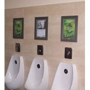 Реклама в туалетах фотография