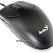 Мышь Genius Ergo T355 - USB - 31010080101
