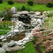 Устройство прудов, ручьев и водопадов в саду фото
