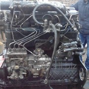 Двигатель ММЗ Д-243 фото