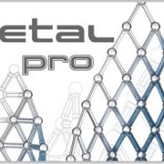 Магнитный конструктор Pro Metal
