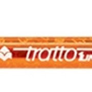 Ручка шариковая TRATTO Grip, поворотный механизм, 1,0, оранжевая (FILA) фотография