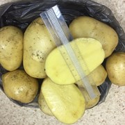 Картофель “Гала“ сетевого качества фото