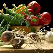 Выращивание овощных культур
