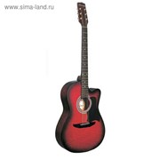 Акустическая гитара Caraya C901T-BS фото