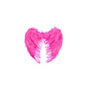 Крылья ангела розовые фото