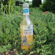 Безалкогольный напиток Rochester Organic Lemonade 330мл фото