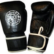 Перчатки боксерские AGATA 999 синие 12 oz (пара) фото