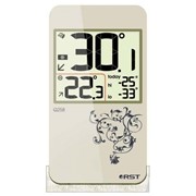 Цифровой термометр RST-02258