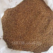 Кориандр зерно, половинки кориандра фото