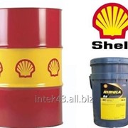 Моторное масло Shell Rimula R6 M Е 5W30 бочка 209 л фотография