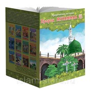 Книга детская Пророк Мухаммад Пророческие истории №12 изд. Рисаля фото