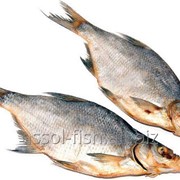 Сушено-вяленая рыба фотография