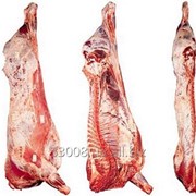 Мясо. Говядина полутуша охлажденная фото