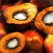 ЖИР КОНДИТЕРСКИЙ «SANIA» на основе РДО пальмового масла и его фракций