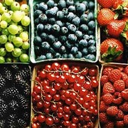 Анализы крови на пищевую непереносимость фото