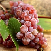 Фотопечать на стекле D1263 фото