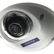 Видеокамера IP купольная внутренняя CAM1420S2 фото