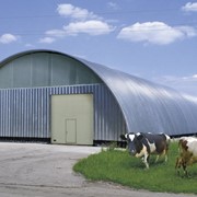 Фермы, загоны для скота Молочно-товарные фермы фото