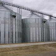 Силос на бетонном основании типа МСВУ - сборные металлические зернохранилища для хранения очищенных зернопродуктов с кондиционной влажностью не более 14 %. фото