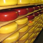Сыр твердый 45% жирности