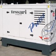 Дизельные генераторы TESSARI PIW фото