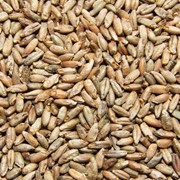 Солод ржаной для пива ферментированный 6х1 кг (в комплекте 6 шт) фото