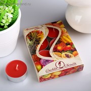 Набор чайных свечей ароматизированных «Тропические фрукты», 12 г, 6 штук фотография
