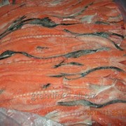 Хребты лосося мясистые соль, РБ фото