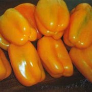 Семена переца `Сладкий Лиско`