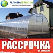 Теплица из поликарбоната. Трубы: 25х25, 20х20, 40х20. Доставка по РБ. Рассрочка Арт: 0003 фотография