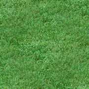 Искусственная трава газон, спортивные покрытия