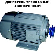 Двигатель техфазный асинхронный Шельф 100 фотография